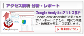 Google Analytics アクセス解析 分析・レポートサービス